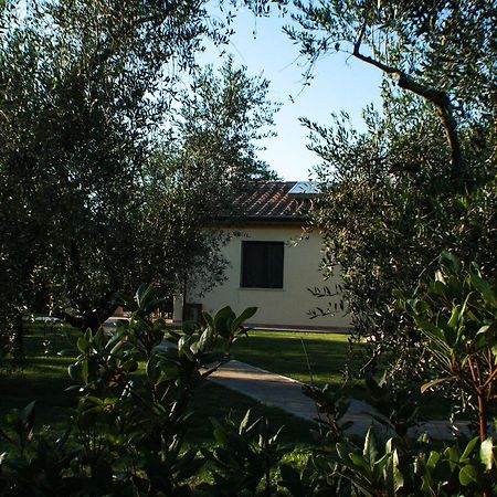 Agriturismo Dallolivo 볼게리 외부 사진