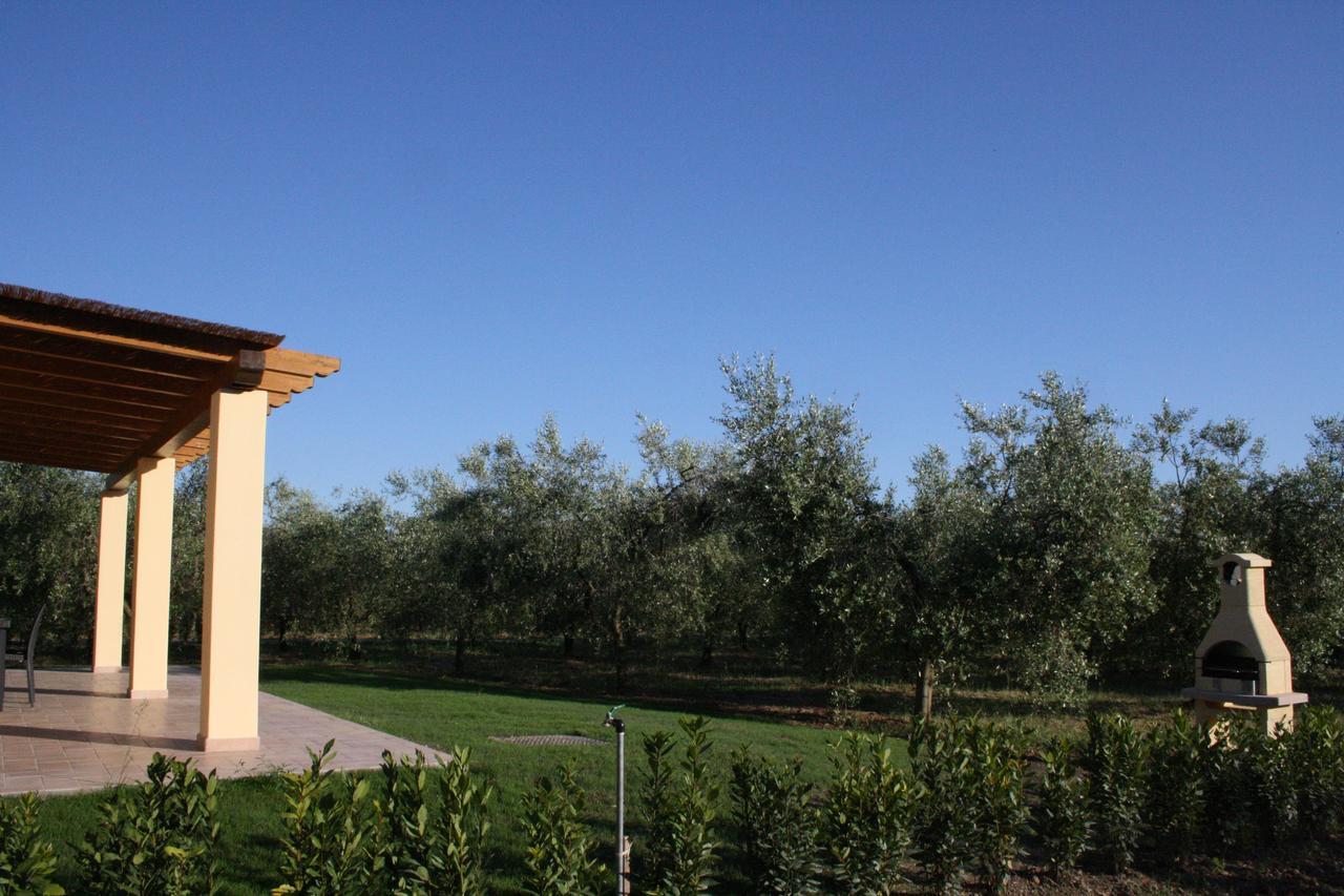 Agriturismo Dallolivo 볼게리 외부 사진