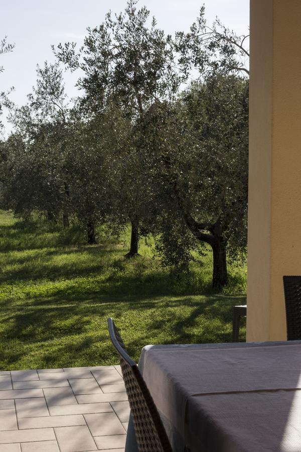 Agriturismo Dallolivo 볼게리 외부 사진